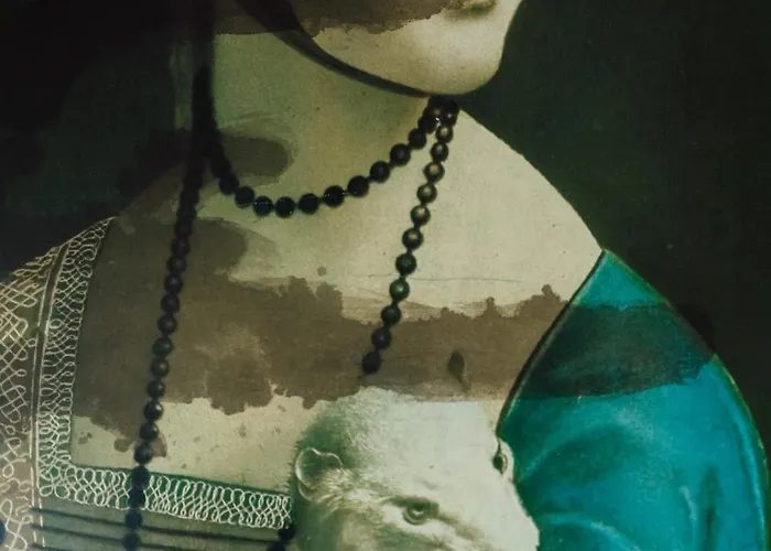 Villa Dobre Historie Lesna (Luban)