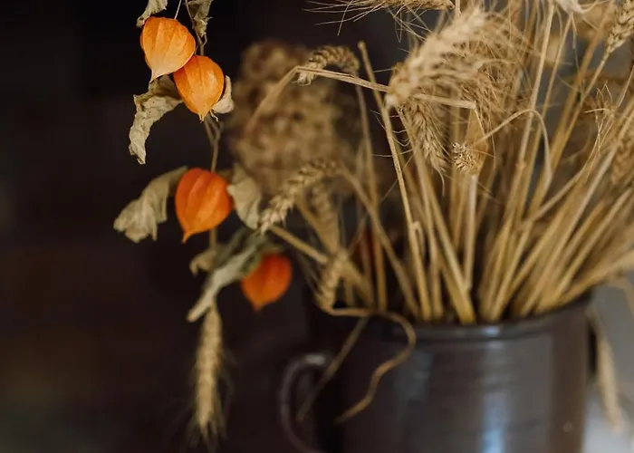 Villa Dobre Historie Lesna (Luban)